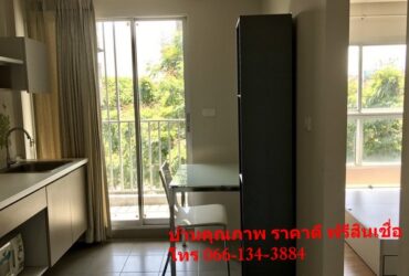 ขายคอนโด บางกะปิ กรุงเทพมหานคร  โครงการ ดีคอนโด รามคำแหง9     361