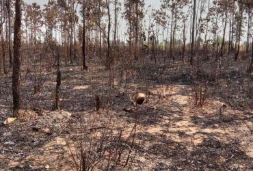 ขายที่ดิน 47-0-43ไร่  บ้านหนองปิง ตำบลสาวะถี อำเภอเมือง จังหวัดขอนแก่น