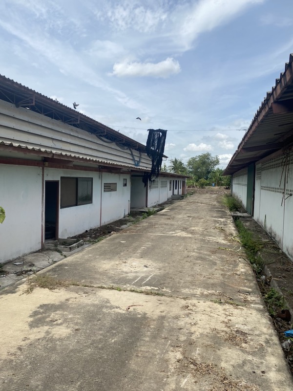 BST194 ให้เช่า-ขายอาคารโกดังโรงงาน มีออฟฟิศสำนักงาน พื้นที่สีเขียว อำเภอเสนา  จังหวัดพระนครศรีอยุธยา