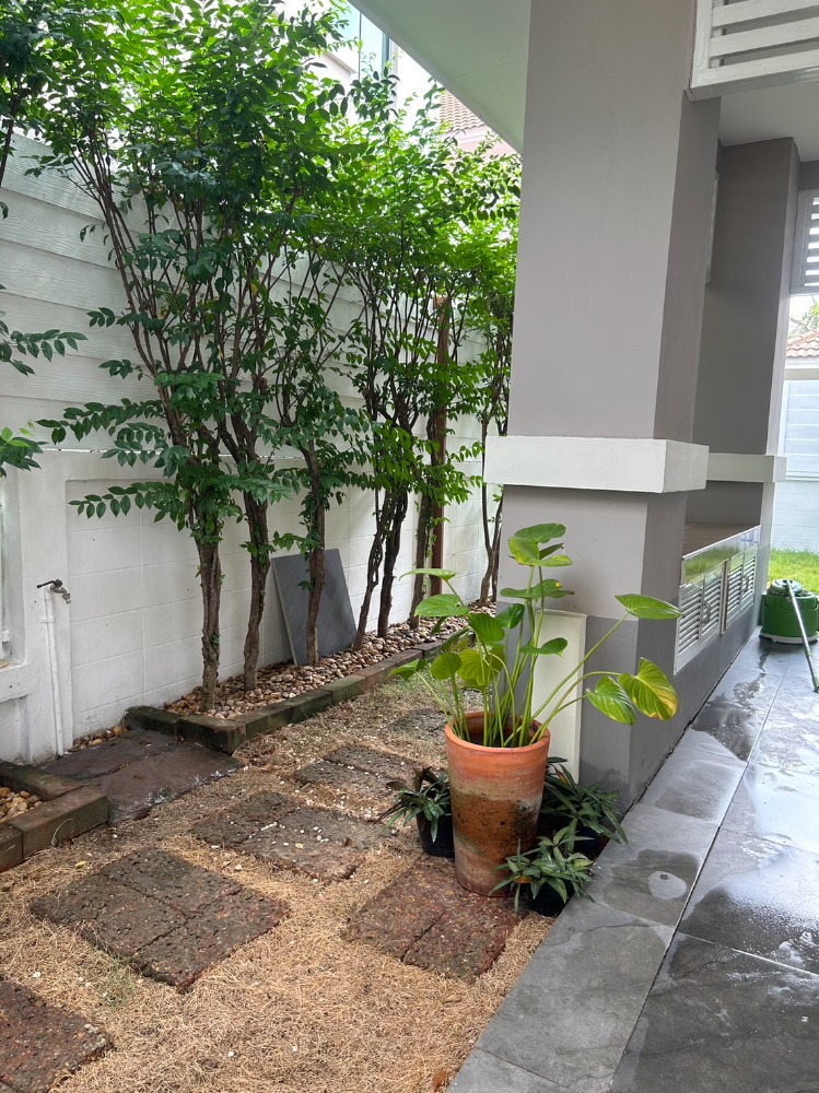 ขายบ้านเดี่ยว 2 ชั้น แลนซีโอ รามอินทรา – นวมินทร์ หลังมุม ถนนเมน รีโนเวทใหม่ ใกล้ซาฟารีเวิลด์ แต่งสวย พร้อมอยู่ บางชัน คลองสามวา