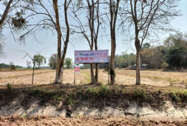 ที่ดิน 8-3-72 ไร่  ต.พานพร้าว อ.ศรีเชียงใหม่ จ.หนองคาย  ใกล้วัดป่าหนองแวง