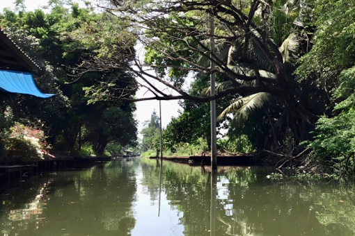 ขายที่ดิน ริมคลองบางไผ่แขวงคลองไผ่ เขตบางแค กรุงเทพมหานคร
