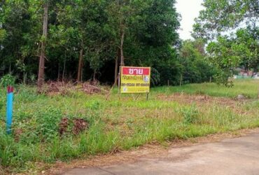ที่ดินสวยเนื้อที่ 111 ตรว.  ถมแล้ว ติดถนนคอนกรีต  ถนนเมืองชุมพร 7   ZCP014