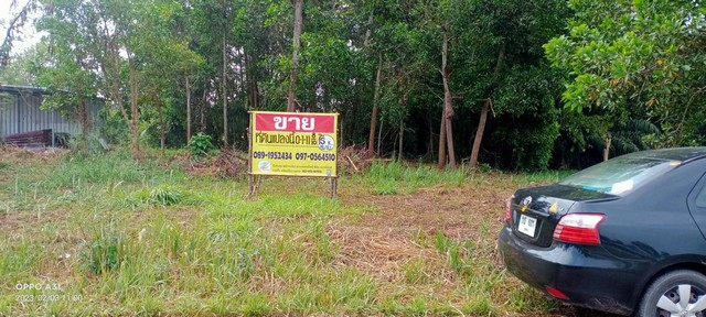ที่ดินสวยเนื้อที่ 111 ตรว.  ถมแล้ว ติดถนนคอนกรีต  ถนนเมืองชุมพร 7   ZCP014