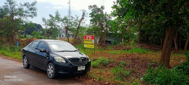 ที่ดินสวยเนื้อที่ 111 ตรว.  ถมแล้ว ติดถนนคอนกรีต  ถนนเมืองชุมพร 7   ZCP014