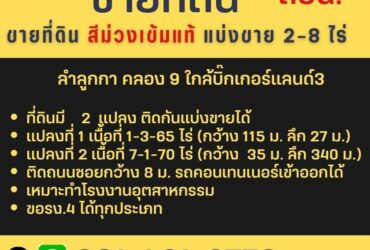 ด่วนนน ขายที่ดินสีม่วงเข้ม สวยทำเลดี แถวลำลูกกาคลอง9 โครงการ3 แบ่งขาย2-8ไร่