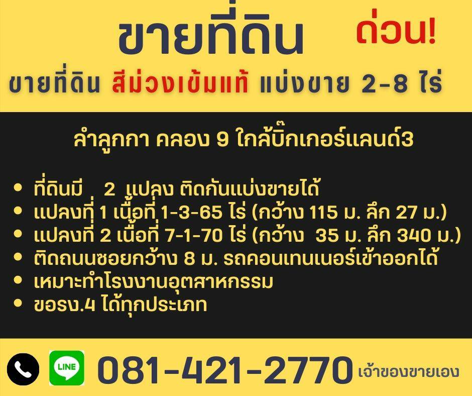 ด่วนนน ขายที่ดินสีม่วงเข้ม สวยทำเลดี แถวลำลูกกาคลอง9 โครงการ3 แบ่งขาย2-8ไร่