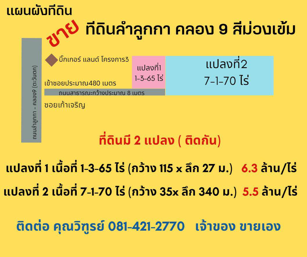 ด่วนนน ขายที่ดินสีม่วงเข้ม สวยทำเลดี แถวลำลูกกาคลอง9 โครงการ3 แบ่งขาย2-8ไร่