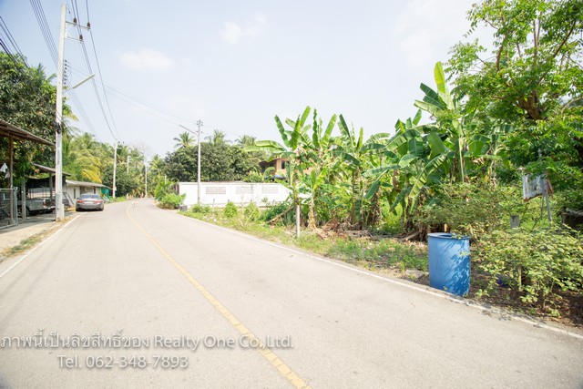 ขาย ที่ดิน ติดถนนซอย บางนกแขวก บางคนที แม่กลอง สมุทรสงคราม