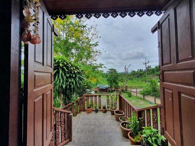 ขายบ้านเรือนไทย2 ชั้นพร้อมสวนผลไม้ – ทุเรียน 1-1-37 ไร่ ติดโรงพยาบาลค่ายวิภาวดี  สุราษฎร์ธานี