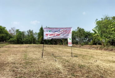 ขายที่ดินเปล่า 344.3 ตรว. (4แปลง) ต.ไก่เส่า อ.หนองแซง จ.สระบุรี