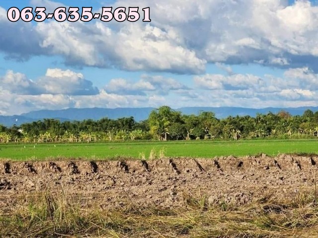 ขายที่ดินสวยวิวเขา เหมาะทำบ้านสวนวัยเกษียน พักผ่อนใกล้ กทม. ต.ท่าทราย อ.เมืองนครนายก