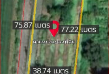 BAT339 ด่วนขายถูกมาก ที่ดินเปล่าเนื้อที่ 786 ตรว พื้นที่สีม่วงเข้ม คลอง9  ลำลูกกา ปทุมธานี เหมาะสร้างโรงงาน