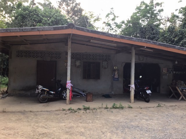 ขายสวนยางพร้อมบ้านพักอาศัย 9-2-37 ไร่  อ.นาบอน  จ.นครศรีธรรมราช
