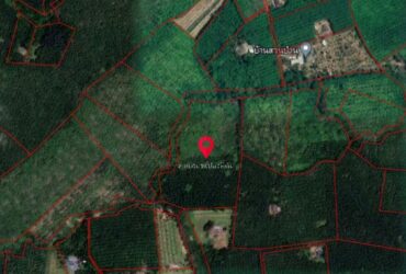 ขายสวนยางพร้อมบ้านพักอาศัย 17-0-79 ไร่  อ.นาบอน จ.นครศรีธรรมราช  ZST089