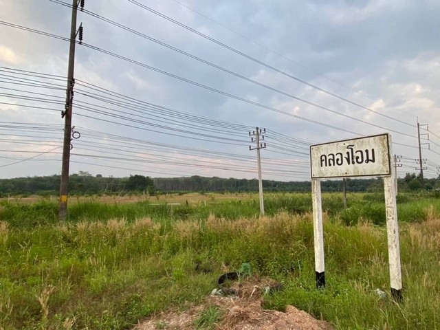 ขายที่ดินสวย ติดถนนเอเชีย 99 ไร่  ใกล้PTT  ทุ่งใหญ่  นครศรีธรรมราช