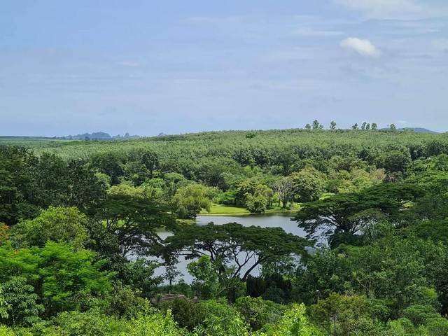 ขายที่ดินจัดสรรแบ่งขายในโครงการ  แรบบิซ ฮิลส์ รีสอร์ท (Rabbiz Hill Resort)