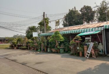 เซ้งล็อคขายต้นไม้ กาดคำเที่ยง 2 ล็อค โซน D2   ล็อค 020 – 021   อำเภอเมืองเชียงใหม่