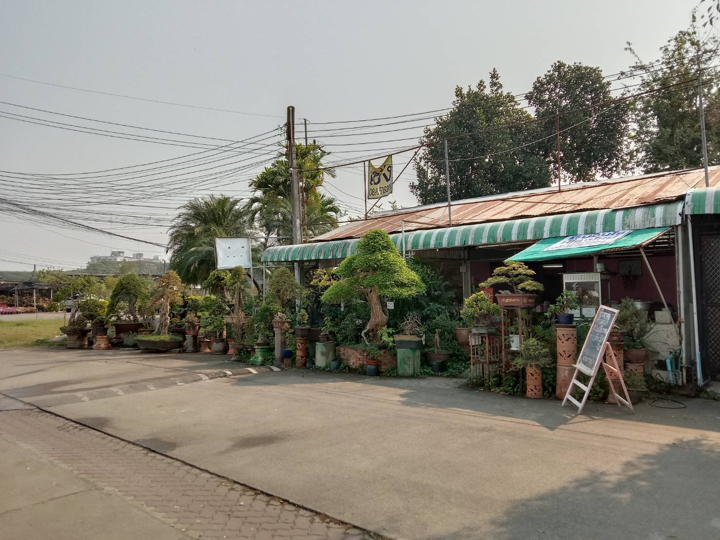 เซ้งล็อคขายต้นไม้ กาดคำเที่ยง 2 ล็อค โซน D2   ล็อค 020 – 021   อำเภอเมืองเชียงใหม่