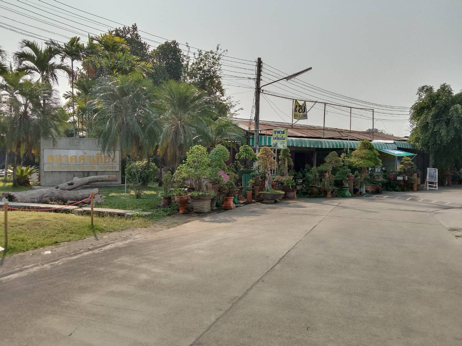 เซ้งล็อคขายต้นไม้ กาดคำเที่ยง 2 ล็อค โซน D2   ล็อค 020 – 021   อำเภอเมืองเชียงใหม่