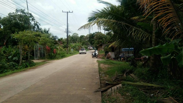 ขายด่วนที่ดินสวนผสม  243 ตรว.  ถ.อู่ตะเภา ต.ท่ายาง ชุมพร  ZCP016