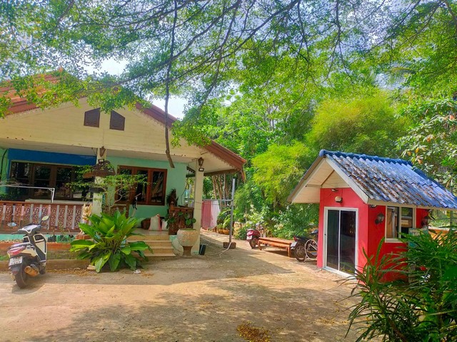 ขายด่วนรีสอร์ท The Mountain View Hat Sai Ri Resort. และ Restaurant little italy (thai food italian food and pizza)  ท่าเรือลมพระยาชุมพร