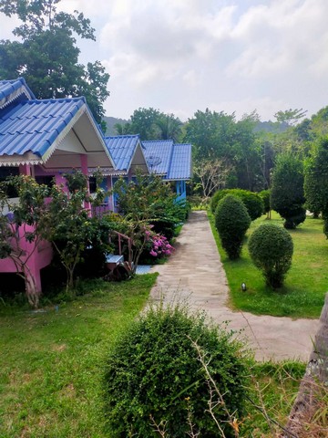 ขายด่วนรีสอร์ท The Mountain View Hat Sai Ri Resort. และ Restaurant little italy (thai food italian food and pizza)  ท่าเรือลมพระยาชุมพร