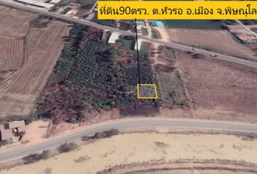 ขายที่ดินเปล่าใน อ.เมืองพิษณุโลก 90 ตรว.วา ทำเลดี ราคาถูก