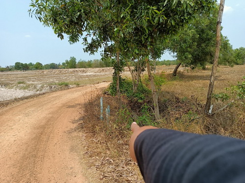 ขายที่ดินเปล่าใน อ.เหล่าเสือโก้ก จ.อุบลราชธานี 4-0-53.9 ไร่ หน้ากว้าง 145 เมตร