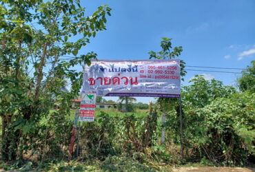ขายที่ดินเปล่าใน อ.ปากช่อง จ.นครราชสีมา 2-1-84 ไร่ ทำเลดี วิวภูเขา ใกล้ถนนหลัก