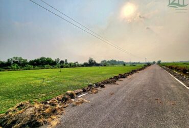 ขายที่ดินคลอง 12 หนองเสือ 2 ไร่ ติดถนนลาดยางในซอย เหมาะ ปลูกบ้าน ทำการเกษตร บรรยากาศดี อยู่ใกล้แหล่งชุมชน