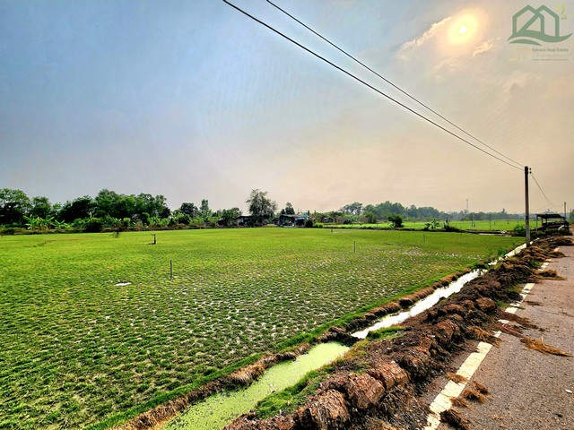ขายที่ดินคลอง 12 หนองเสือ 2 ไร่ ติดถนนลาดยางในซอย เหมาะ ปลูกบ้าน ทำการเกษตร บรรยากาศดี อยู่ใกล้แหล่งชุมชน