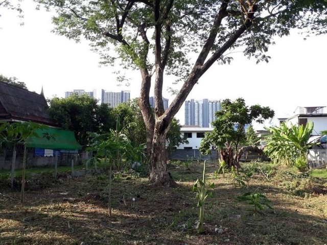 ขายด่วนที่ดิน 296.3 ตร.วา ถ.ประชาราษฎร์สาย1  ใกลัรัฐสภา  บางซื่อ   ZW013