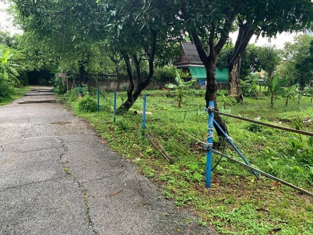 ขายด่วนที่ดิน 296.3 ตร.วา ถ.ประชาราษฎร์สาย1  ใกลัรัฐสภา  บางซื่อ   ZW013