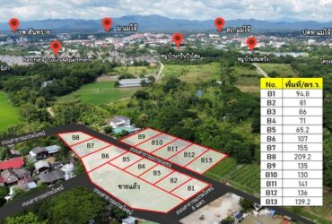 ขายที่ดินแม่โจ้ อ.สันทราย ใกล้โรงพยาบาลสันทราย จ.เชียงใหม่