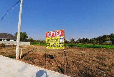 ขายที่ดินสวยถมแล้ว 2 แปลง 152 ตร.วา. (แปลงละ 76 ตร.วา) โพนทอง-กาฬสินธุ์ ZE367