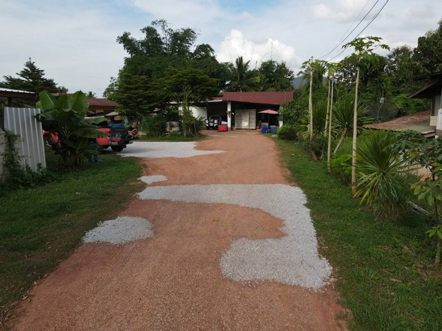 ขายด่วน ที่ดินทำเลทอง ที่ดินพร้อมสิ่งปลูกสร้าง เนื้อที่ 3 งาน 31 ตร.วา บ.หัวนายูง อ.ด่านซ้าย จ.เลย  ZE401
