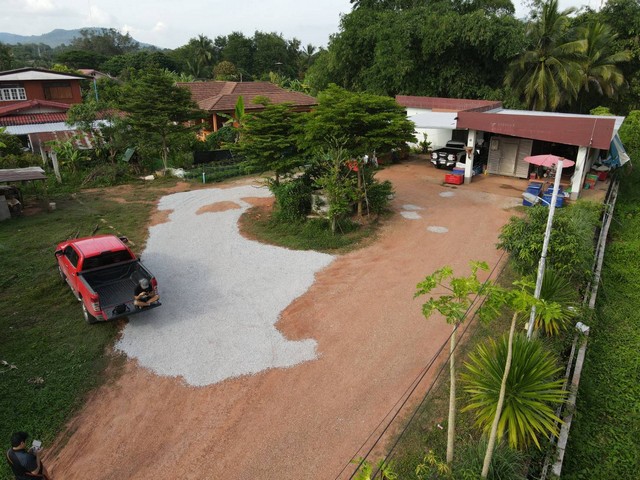 ขายด่วน ที่ดินทำเลทอง ที่ดินพร้อมสิ่งปลูกสร้าง เนื้อที่ 3 งาน 31 ตร.วา บ.หัวนายูง อ.ด่านซ้าย จ.เลย  ZE401