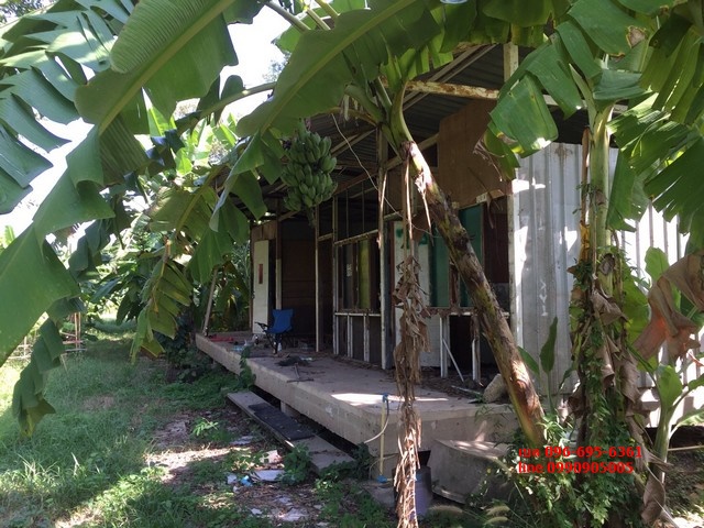 ขายที่ดิน ติดถนนกาญจนาภิเษก ตร.ว.ละ 12000 บาท 6-1-21.3 ไร่ Land for sale