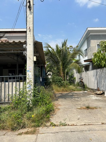 พฤุกษา 64/2 คลอง 3 / 34.4 ตรางวา 3 ห้องนอน 2 ห้องน้ำ 1 ที่จอดรถ
