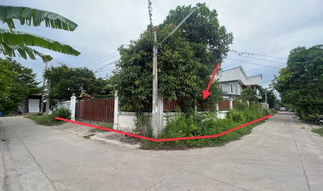 ขายบ้านเดี่ยว    ซอยบ้านตาสด 4  สมุทรสาคร (PKK02-12169)