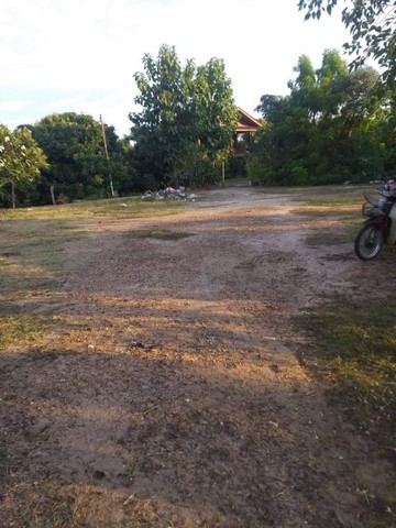 วาละ​10,000​ บ.​ เท่านั้น​ 4 ไร่ 62 ตรว. #โซน​หางดง​ #หลังกาดฝรั่ง/ม.กุลพันวิวล์​ 9