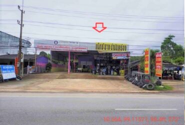 ขายบ้านพร้อมกิจการ ตรวจสภาพรถ ติดถนนเพชรเกษม ท่าแซะ-ชุมพร PSC09649