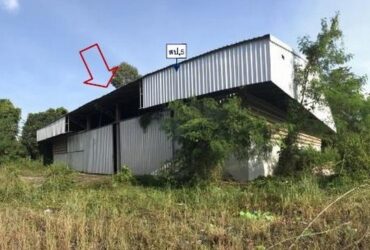 ขายบ้านพร้อมกิจการโกดัง และกิจการพักอาศัยรีสอร์ท จังหวัดบึงกาฬ PSC09572