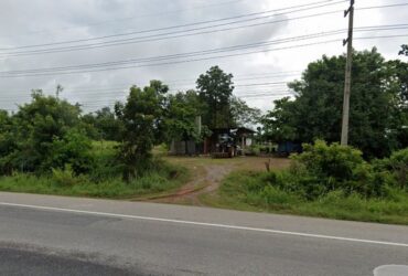 ขายที่ดินพร้อมสิ่งปลูกสร้าง รวม 26-2-45 ไร่ ติดถนนชัยภูมิ-ภูเขียว  PSC09986