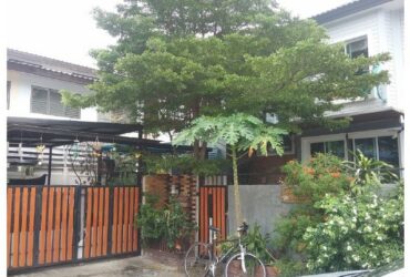 ขายบ้านเดี่ยว  หมู่บ้านพฤษาวิลเลจ ซีนเนอรี่ รังสิต-คลอง 2 ปทุมธานี