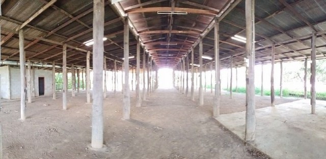 ขายอาคารสำนักงาน โกดังไม้และบ้านพักพนักงาน จ.ลำพูน PSC09633