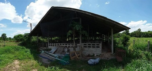 ขายบ้านพร้อมอาคารโกดัง 3 ไร่ ผังเมืองสีชมพู แม่ทะ, ลำปาง PSC09728