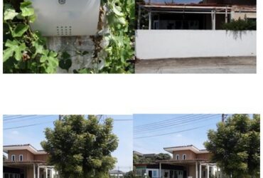 ขายบ้านเดี่ยว    โครงการวี-อไลฟ์  คลอง 8 ปทุมธานี (PKT159043)