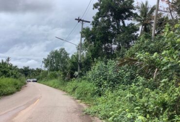 ขายที่ดิน ในบาง แบ่งขาย 50 วา – 2 ไร่ ใกล้คลอง ใกล้เมือง อากาศดี ติดถนน น้ำไฟเข้าถึง จ.สุราษฎร์ธานี